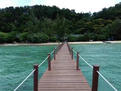 -东姑阿都拉曼海洋公园