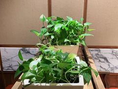-小厨旺鱼庄(黑金冠店)