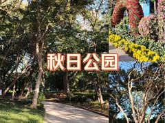 -青岛海滨风景区