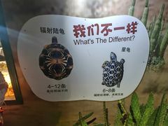 -广州长隆飞鸟乐园