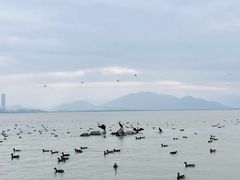 -深圳湾公园(南山区)
