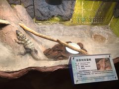 -上海大自然野生昆虫馆(东方明珠·爬宠昆虫探索中心)