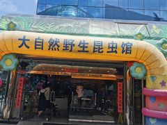 -上海大自然野生昆虫馆(东方明珠·爬宠昆虫探索中心)
