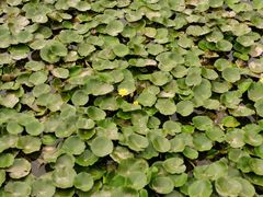 -南国桃园旅游度假区