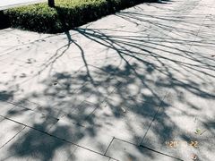 -阿哈湖国家湿地公园