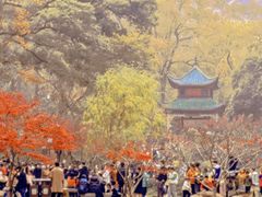 -华谊兄弟（长沙）电影小镇