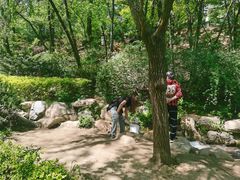 -大连植物园