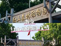 -红山森林动物园