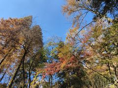 -莫干山风景区