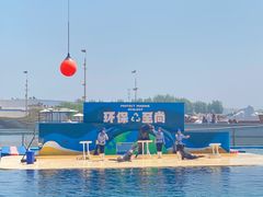 -秦皇岛乐岛海洋王国