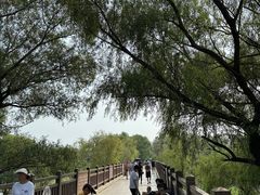 -北京麋鹿生态实验中心
