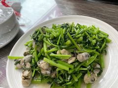 茼蒿海蛎子-林之六八·6886大连老菜馆