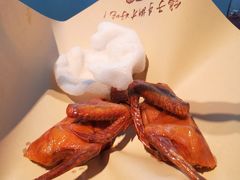 -鸽子侯·家宴·平价海鲜(市图书馆店)