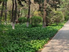 -东北大学(南湖校区)