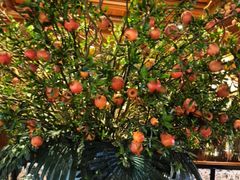 -八府香鸭·啫啫煲(华山路店)