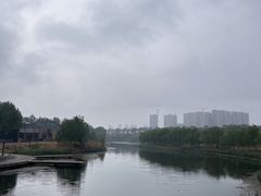 -马家湾湿地公园