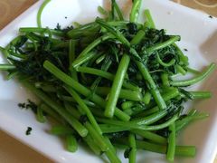 蒜蓉茼蒿-海岛渔村大酒店(云霄路店)