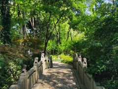-汇龙潭