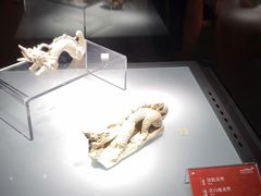 -景德镇中国陶瓷博物馆