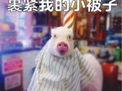 -宴全牛粤来越牛潮汕鲜牛肉火锅(海州万达广场店)