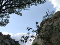 -北京鹫峰国家森林公园