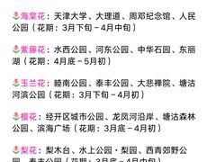 -必点海鲜·海肠捞饭大王(滨江道店)