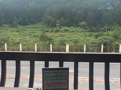 -西江传说•酸汤鱼(水东路店)
