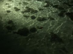 -卡帕莱度假村(西巴丹岛)