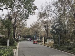 -常州淹城野生动物世界