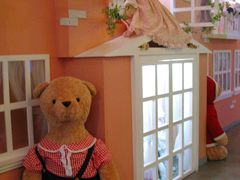 -济州岛泰迪熊博物馆