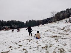 -武陵山森林公园