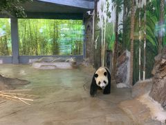 -海南热带野生动植物园