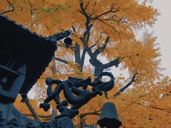 -红螺寺