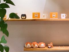 -柴务处·柴犬主题狗咖