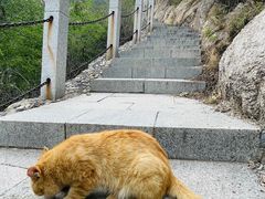-北京凤凰岭