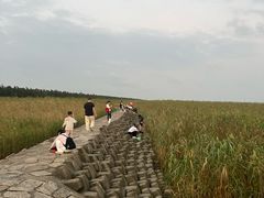 -上海崇明金茂凯悦酒店