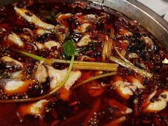 -蛙一刀·麻椒鱼火锅(金仙桥店)