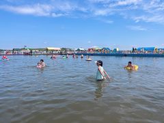 -呼兰河口湿地公园