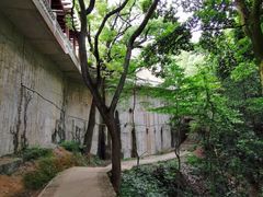 -西湖风景区十里琅珰-五云山