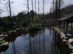 -兰亭风景区