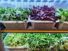 -黔人百味.贵州菜