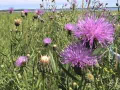 -呼和诺尔旅游景区