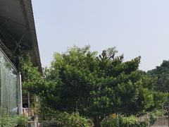 -邹记·美食(斗门店)