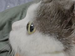 -谐和益家动物医院·免疫绝育·血液透析·宠保定点医院(高新伊藤分院)