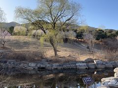 -北京西山国家森林公园