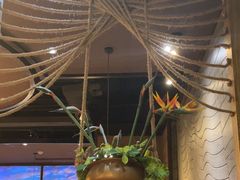 -云海肴·汽锅鸡·云南代表菜(天津国金汇店)