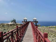 -养马岛旅游度假区