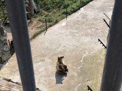 -哈尔滨北方森林动物园