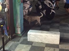 -花莲东大门国际观光夜市