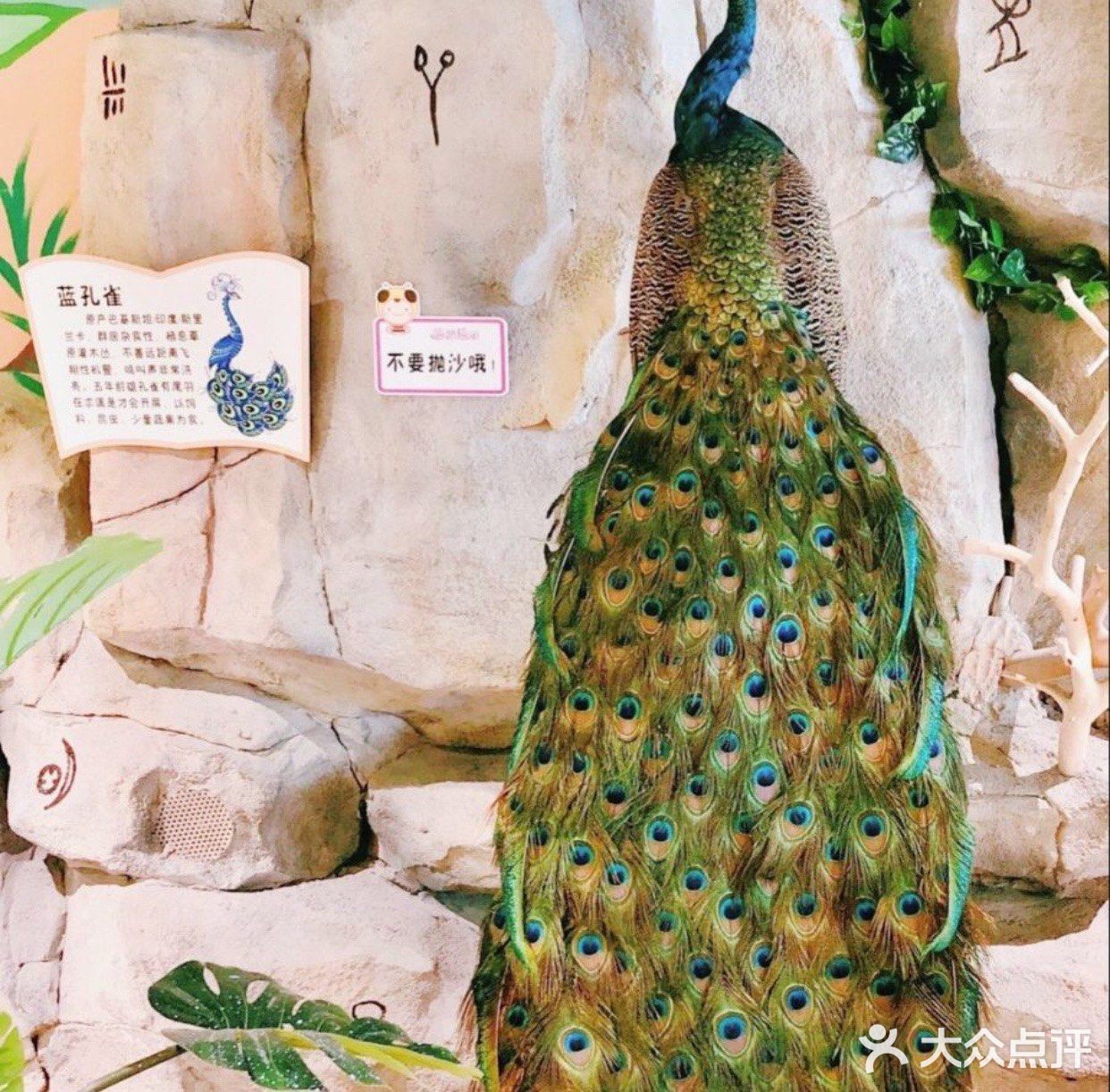 深圳春游一定要打卡的好去处——茱莉动物乐园